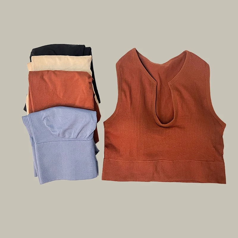 Brassière gym marron bleu beige noir